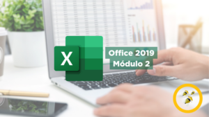 Excel 2019 - Módulo II (online)