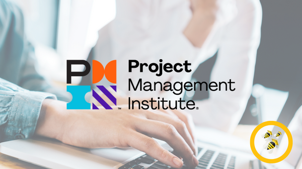 Gerenciamento de Projetos com Ênfase no PMI - Execução, Monitoramento e Controle (online)