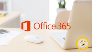 Office 365 - Business User (online)