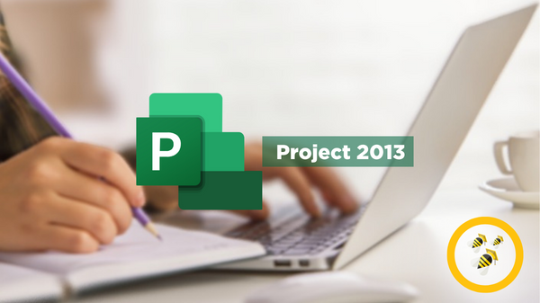 Project 2013 (online)